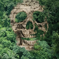 HELP! Save the Rainforest