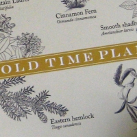 Old Time Plants