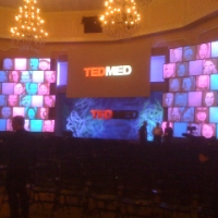 TEDMED walls
