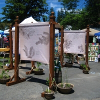 1-nativeplantdisplaysm